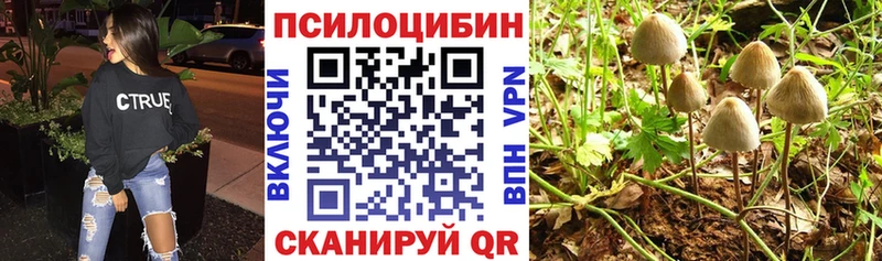 Псилоцибиновые грибы Psilocybe  Обоянь 